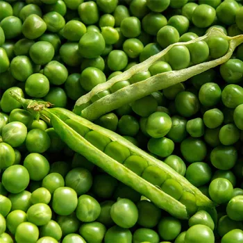 Green Peas  (43)-6286348-11128.webp